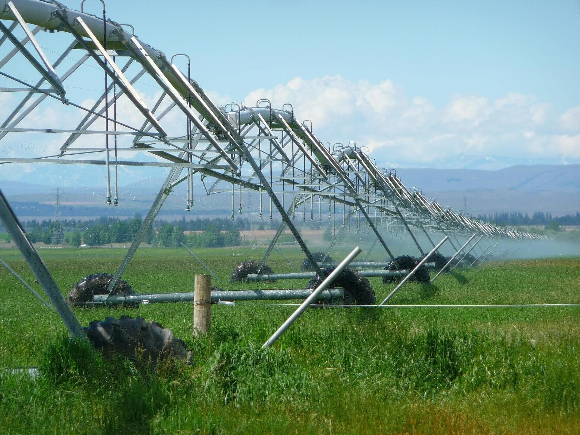Visuel irrigation dans l'agriculture