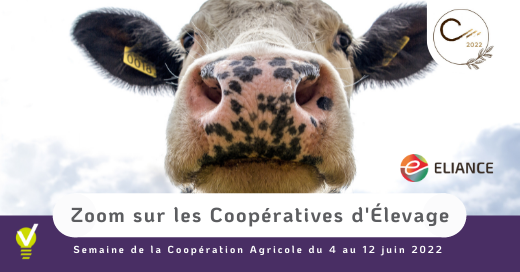 Coopératives agricoles d'élevage