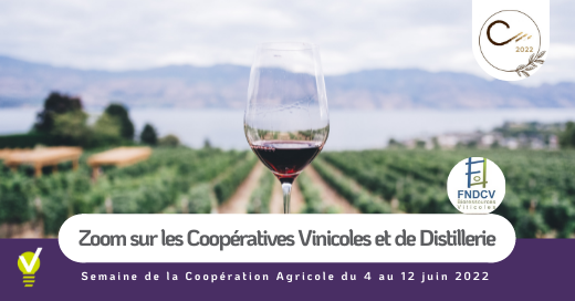 Coopératives agricoles vinicoles et de distillerie