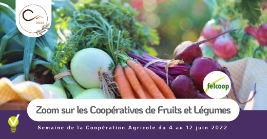 Coopératives agricoles de fruits et légumes
