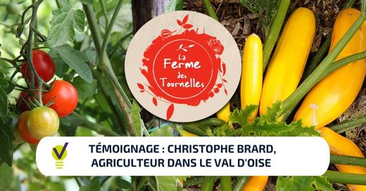 La Ferme des Tournelles est spécialisée dans l'agriculture maraichère dans le Val d'Oise