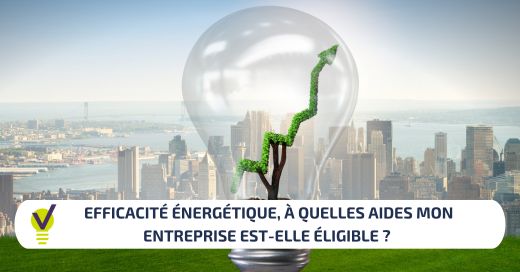 Pour réussir votre transition énergétique, vous pouvez vous faire accompagner par des experts qui vous aideront à établir un diagnostic et un plan d’action. Vous pouvez également bénéficier d’aides financières.