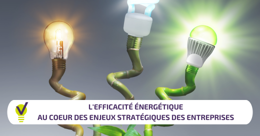 L’efficacité énergétique constitue un enjeu stratégique pour les entreprises. Afin de passer le cap du changement, des accompagnements existent pour les acteurs de toutes tailles et de tous secteurs.